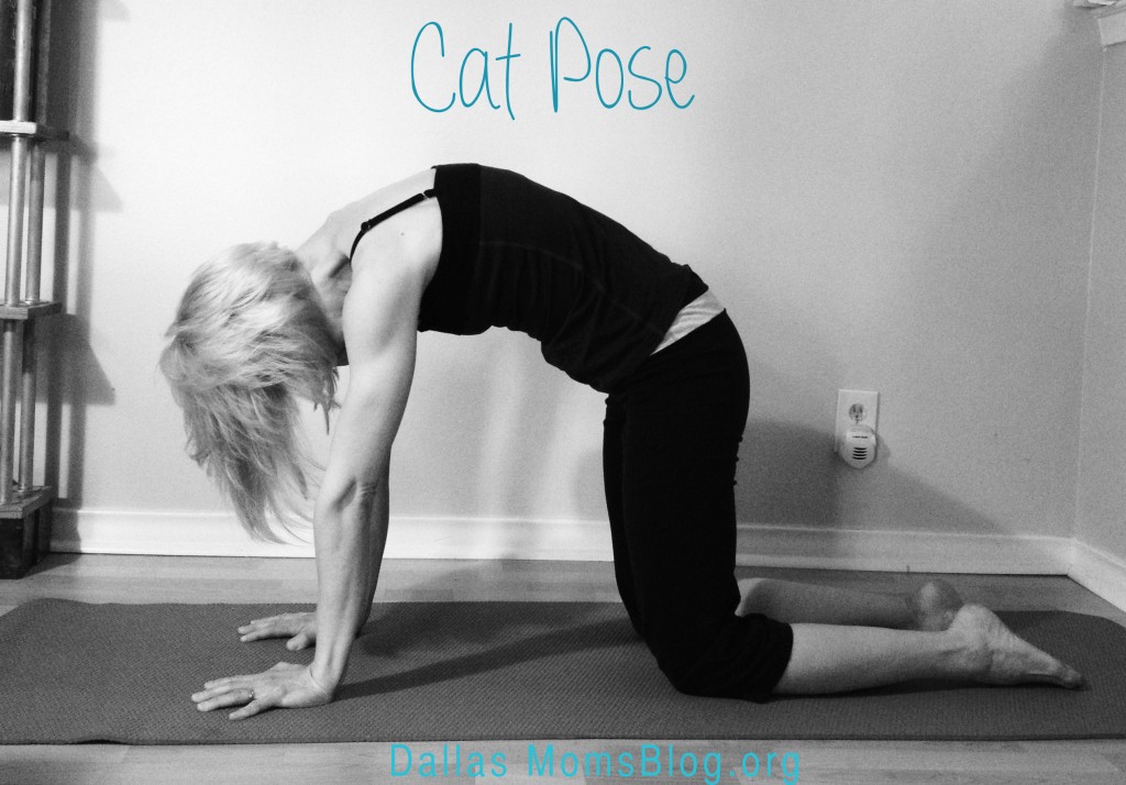 3 Yoga Moves for Moms - Cat Pose
