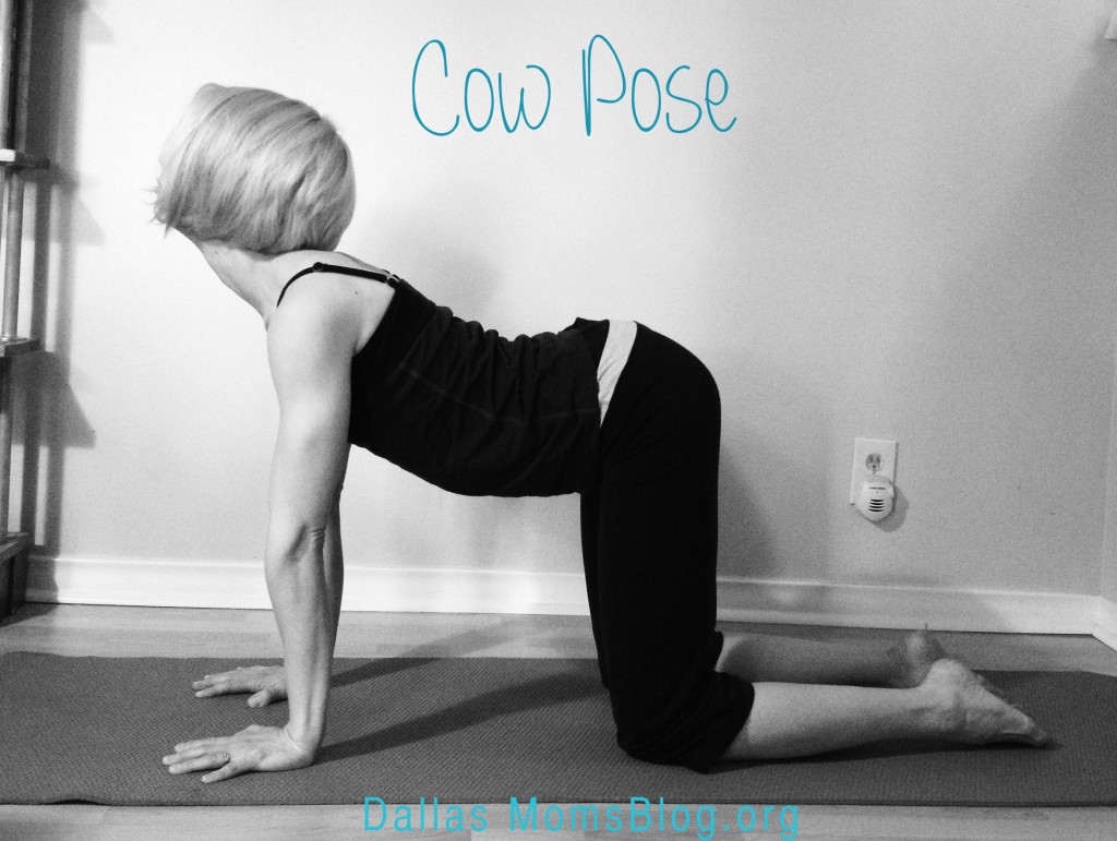 3 Yoga Moves for Moms - Cow Pose