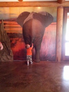 Elephant's Bottom