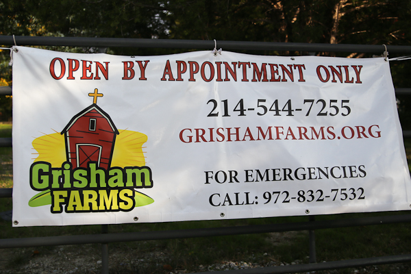 Grisham Farms Birthday