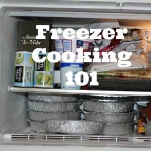 FreezerCooking101