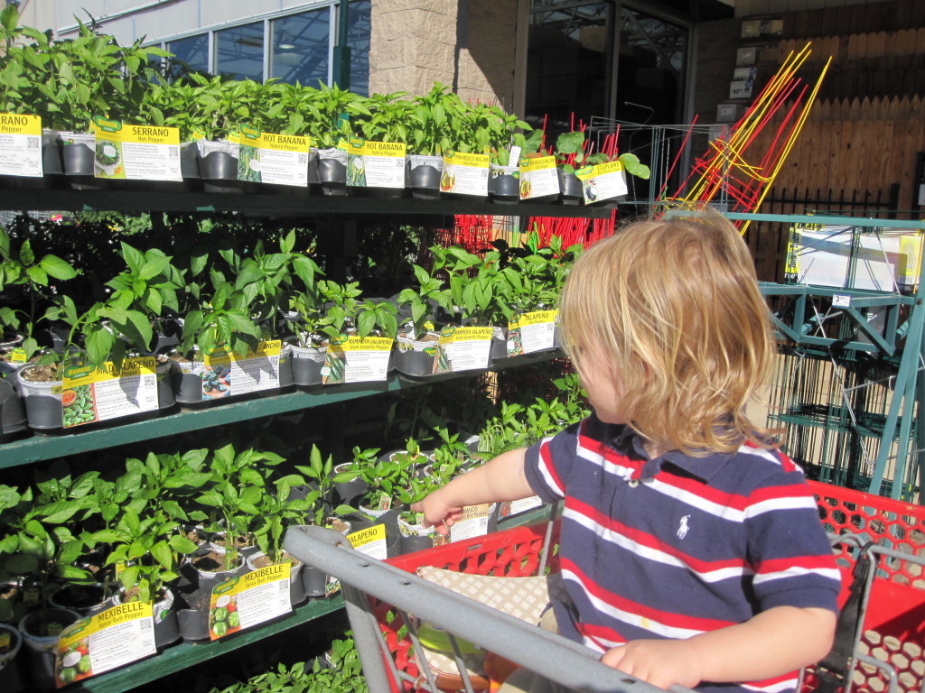 child in stroller pointing to plants at a garden center