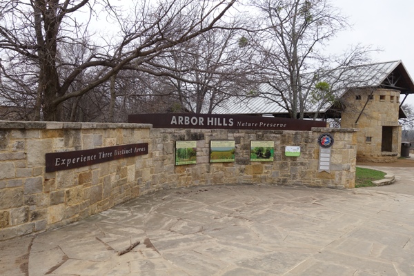 Arbor Hills Nature Preserve, where to hike in Plano with kids