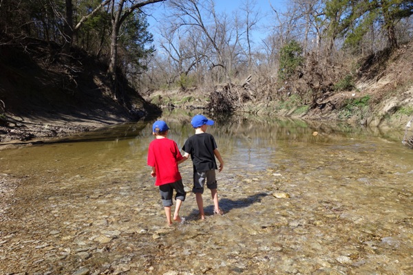 Spring Creek Forest Preserve, where to hike in Plano with kids