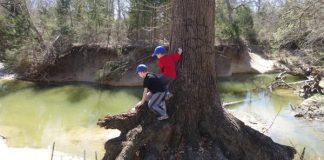 where to hike in Plano with kids