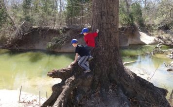 where to hike in Plano with kids