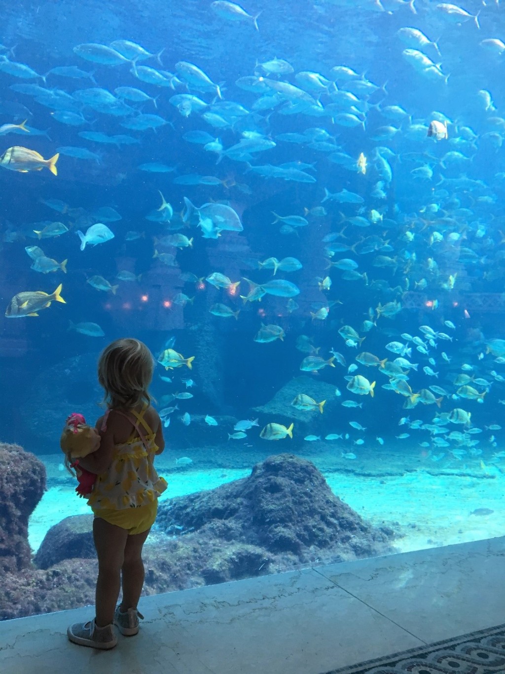 toddler in front of large aquarium, travel do's and don'ts, tips for air travel with toddlers
