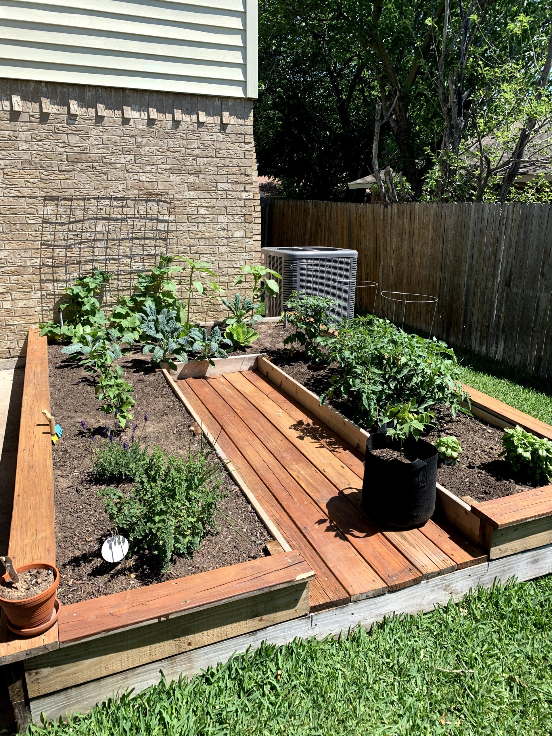 raised bed in North Texas, Vegetable garden advice for beginners