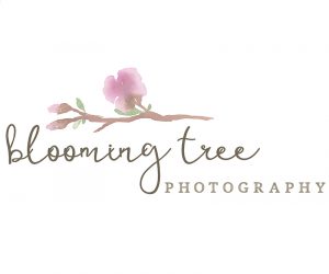 Blooming Tree Photography - Logo