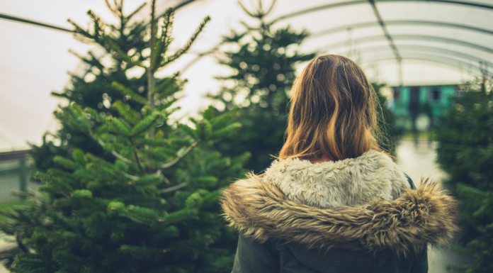 View of a woman from behind in a Christmas tree farm tent