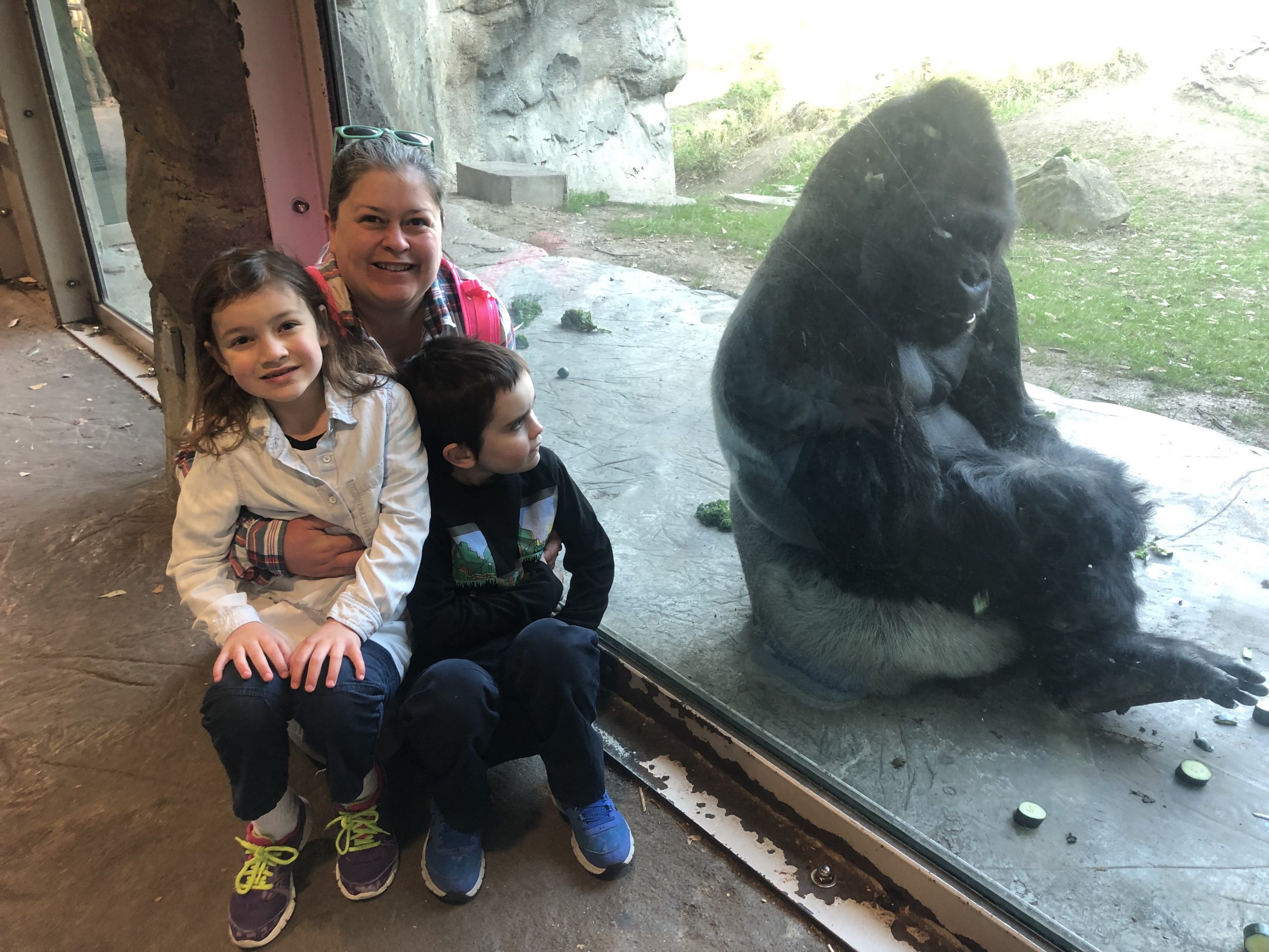 A mother and two children pose beside a window. A gorilla sits on the other side of the glass.