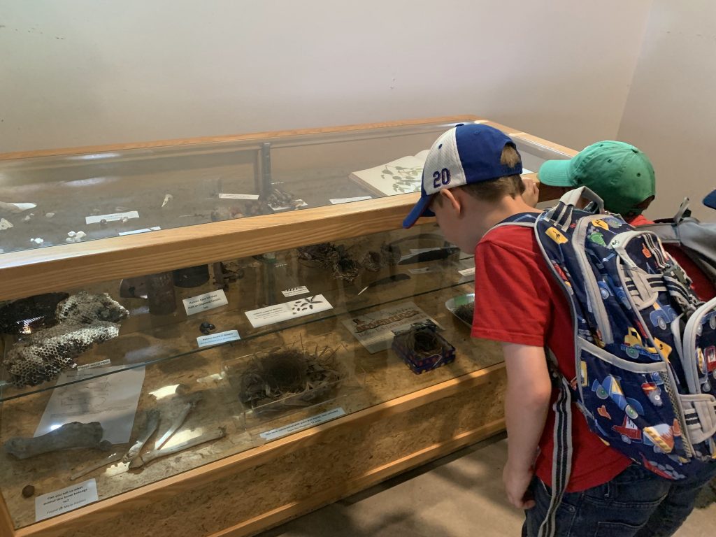 display case at Dogwood Canyon Audubon Center with kids