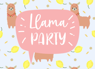 llama party ideas