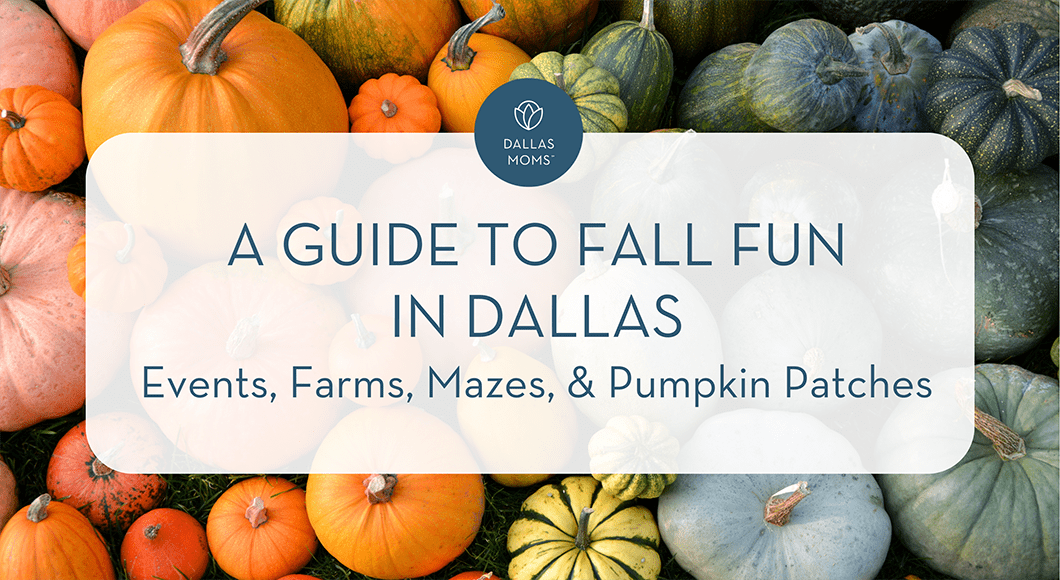 A Guide to Fall Fun in Dallas :: Events, Farms, Mazes, and Pumpkin Patches