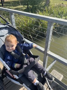A young toddler sitting in his jogging stroller on a bridge points to a duck in the water.