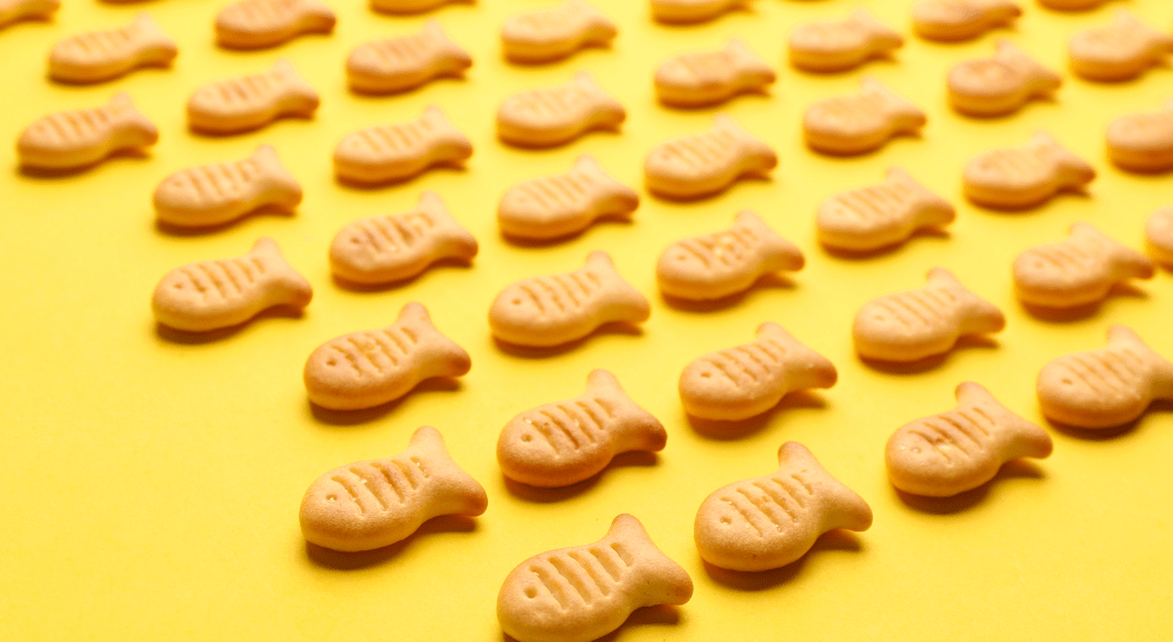 Rows of goldfish crackers.