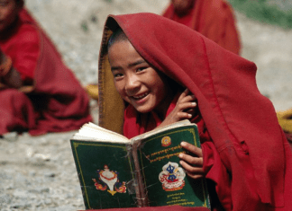 A boy reads a book under a red blanket.