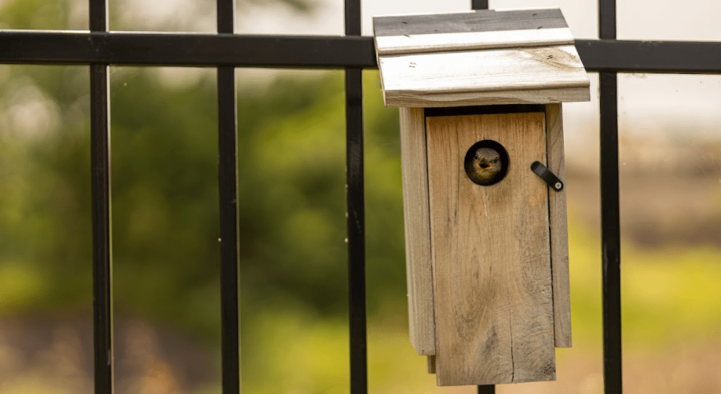 A bird house is attached securely to a gate to house a nest.
