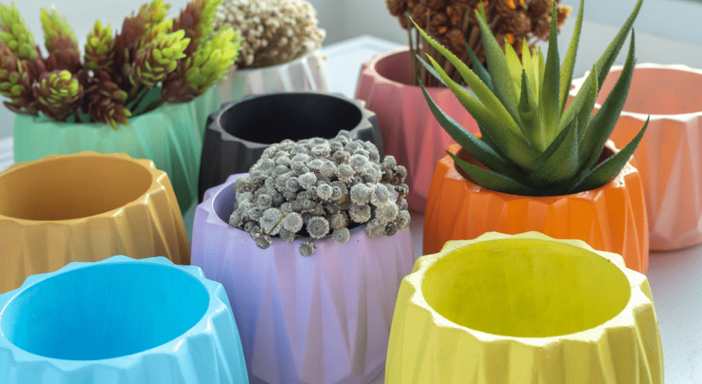 Succulents and an assortment of planters in the color of the rainbow make for great teacher appreciation gifts.
