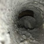 Photography of Dirty and Clogged ducts.jpg